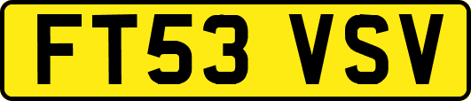 FT53VSV