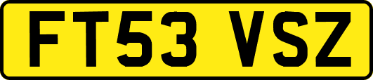 FT53VSZ