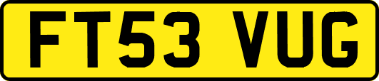 FT53VUG
