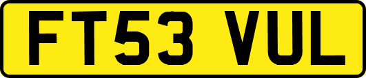 FT53VUL