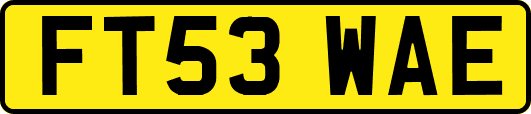 FT53WAE