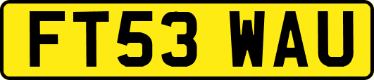 FT53WAU