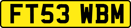 FT53WBM