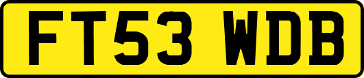 FT53WDB