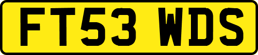 FT53WDS