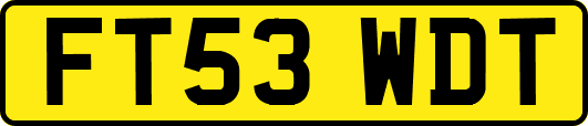 FT53WDT