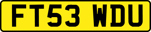 FT53WDU
