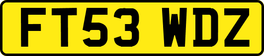 FT53WDZ