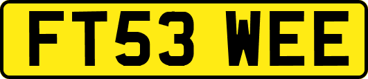 FT53WEE