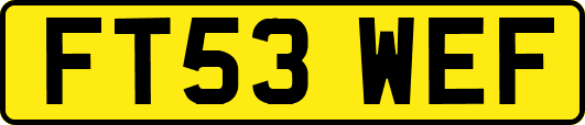 FT53WEF