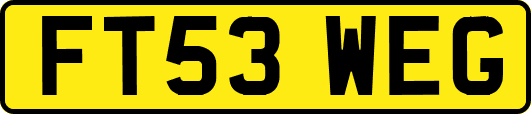 FT53WEG
