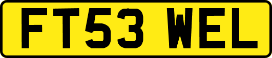 FT53WEL