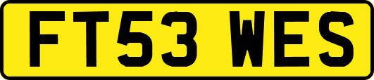 FT53WES