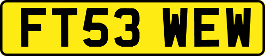 FT53WEW