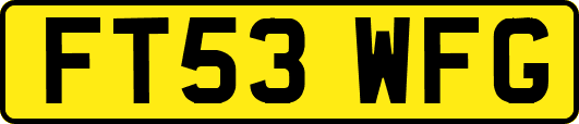 FT53WFG