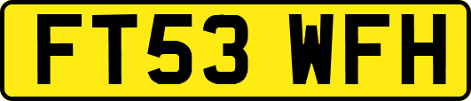 FT53WFH