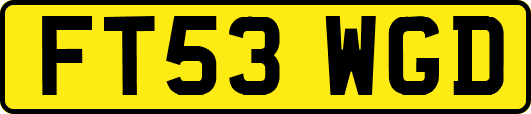 FT53WGD