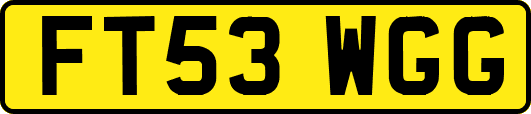 FT53WGG
