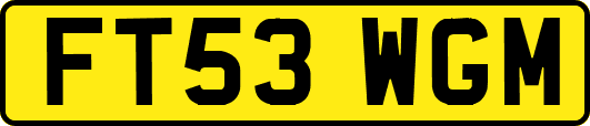 FT53WGM