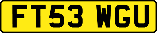 FT53WGU