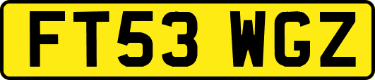 FT53WGZ