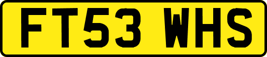FT53WHS