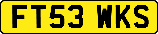 FT53WKS
