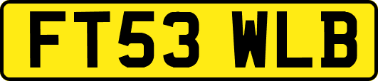 FT53WLB