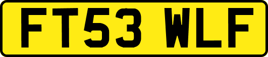 FT53WLF