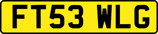 FT53WLG