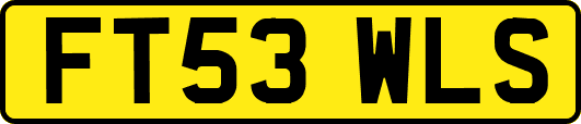 FT53WLS
