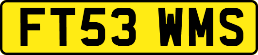 FT53WMS