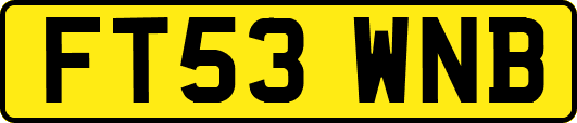 FT53WNB