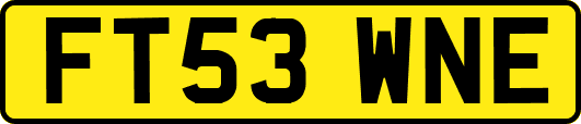 FT53WNE