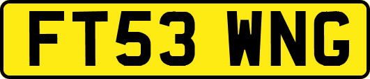 FT53WNG