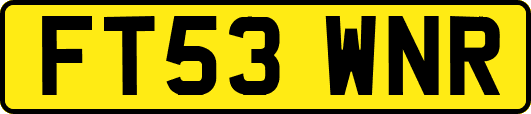 FT53WNR