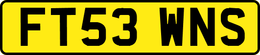 FT53WNS