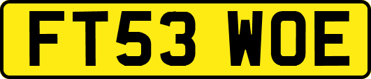 FT53WOE