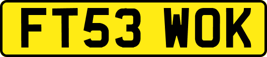 FT53WOK