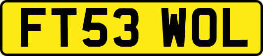 FT53WOL