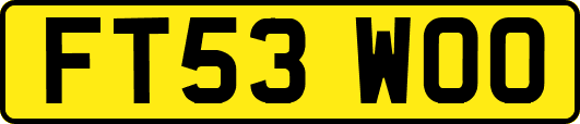 FT53WOO