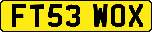 FT53WOX
