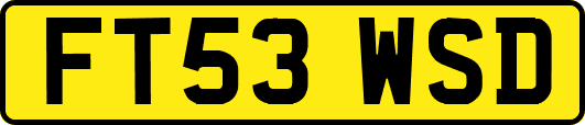 FT53WSD