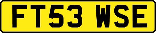FT53WSE