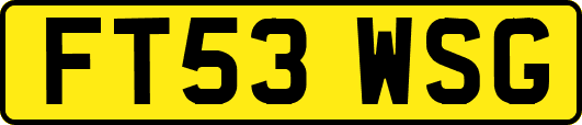 FT53WSG