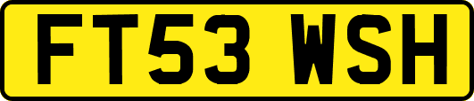 FT53WSH