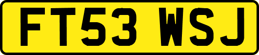FT53WSJ