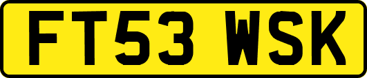 FT53WSK
