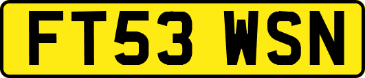 FT53WSN
