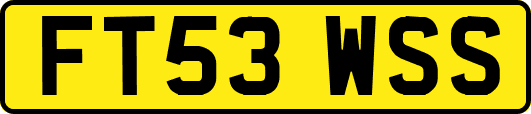 FT53WSS